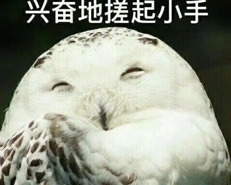 斗图表情包 - 斗图神器 - adoutu.com