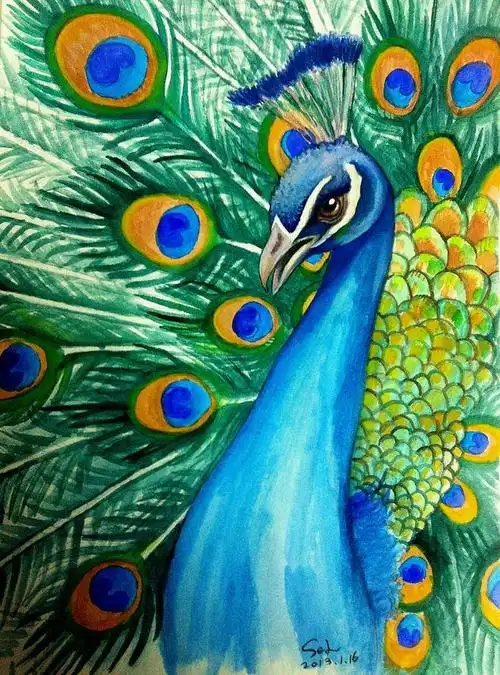 我的手绘作品~水彩孔雀