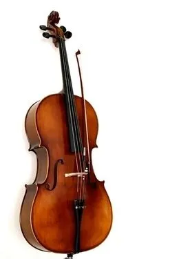 如何认识大提琴
