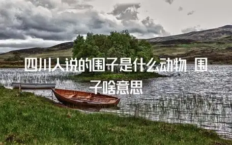 四川人说的围子是什么动物 围子啥意思