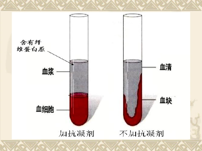 济南版七下生物31物质运输的载体课件15张ppt