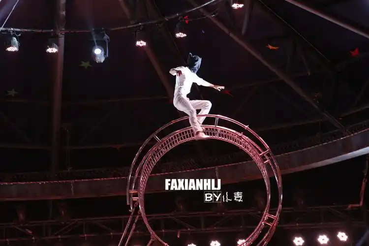 绸吊死亡飞轮驯虎东北虎林园马戏团用生命在表演