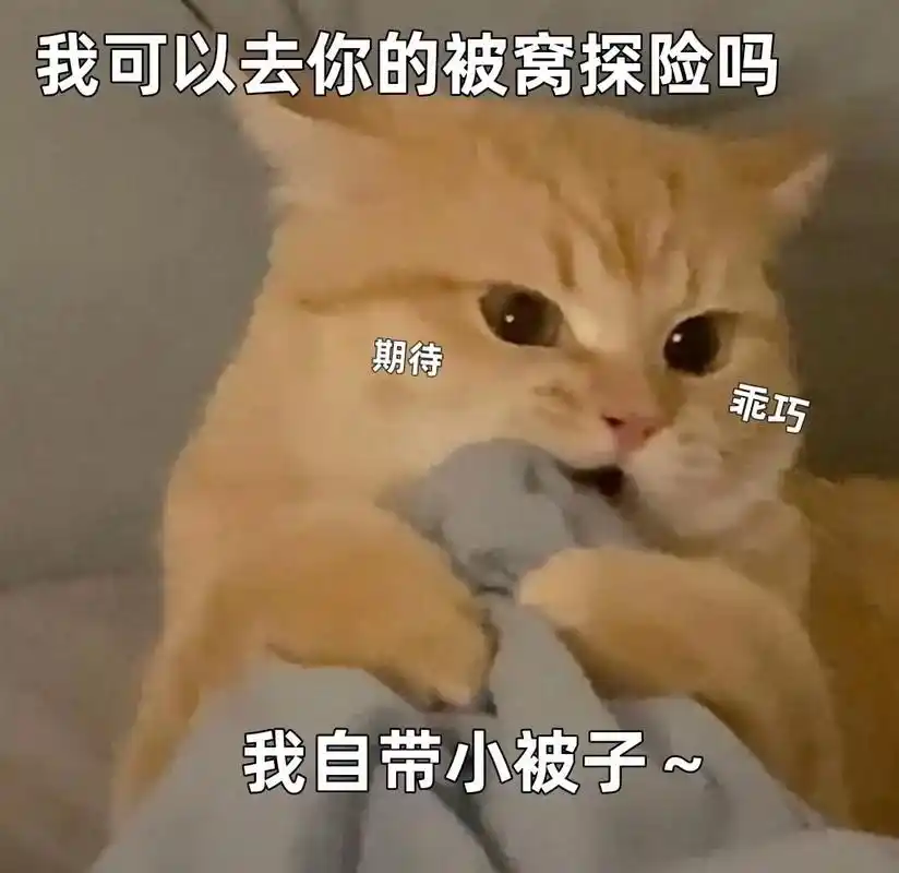 我可以去你的被窝探险吗?…………#图文伙伴计划 #情侣日常  - 抖音