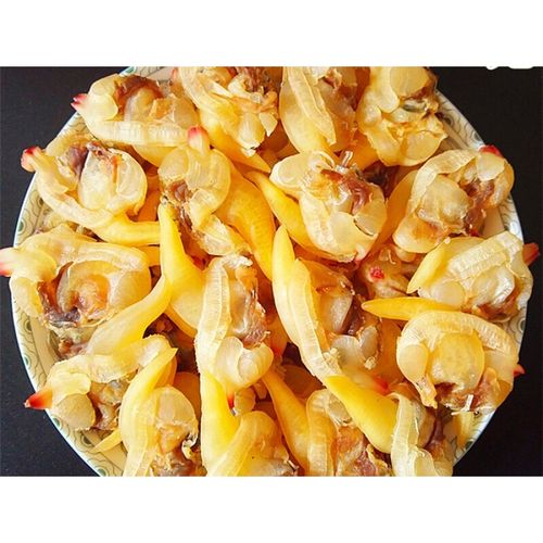 虎钢馋丹东特产小吃 海鲜零食干货黄蚬子干蛤蜊肉干去内脏即食500克