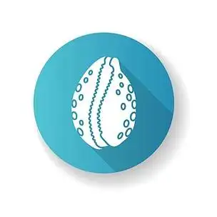 月饼红色平面设计长长的阴影标志符号图标常见的海扇壳,贝壳菌nati