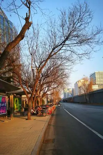 二零二零年正月初六海淀西北街景