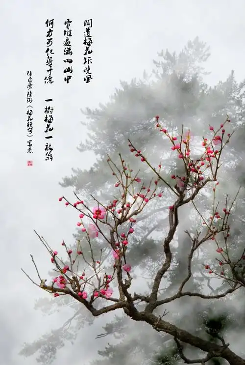 其它 咏梅 写美篇        【宋】王安石         墙角数枝梅,凌寒独自