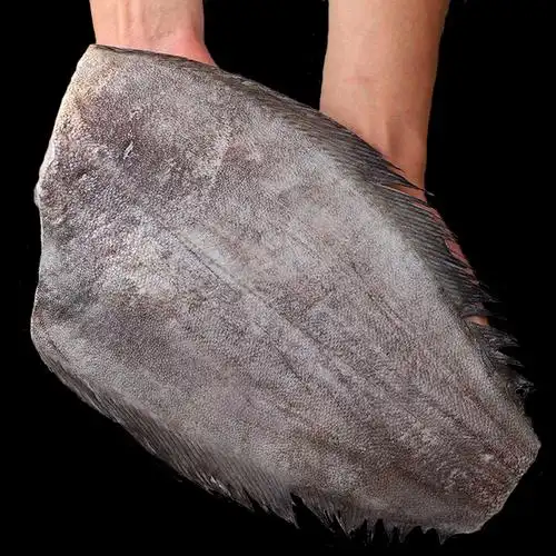 鲽鱼身深海鲽鱼身去头去尾去内脏