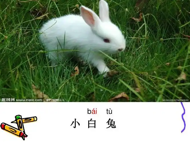 一年级人教版上册语文汉语拼音9 aieiui课件ppt