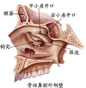 来源:中国医学医学时代(微信公众号:yishi35)整理编辑