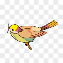 手绘卡通矢量图小鸟素材