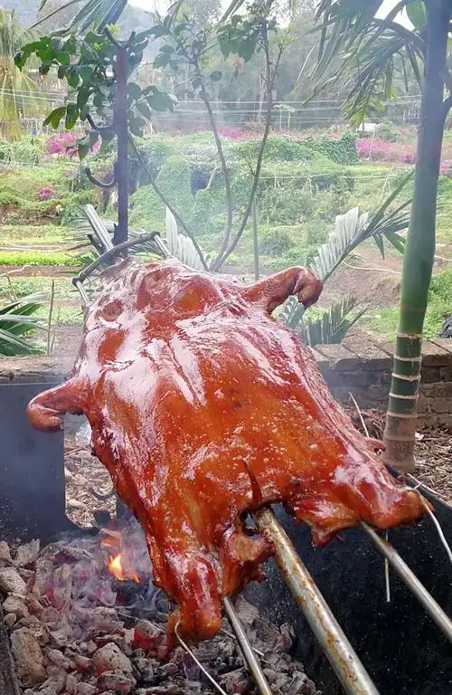 三亚极致美味的临高烤乳猪