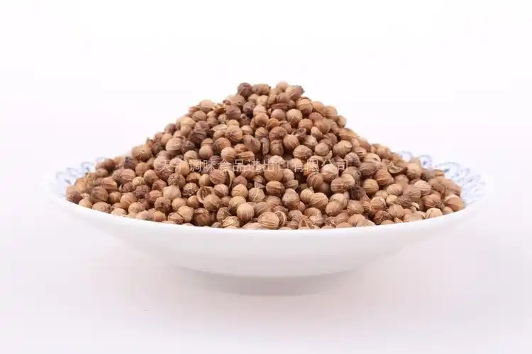 香菜籽芫荽籽 香菜子粉 调味香料火锅卤料包原料调味香料批发