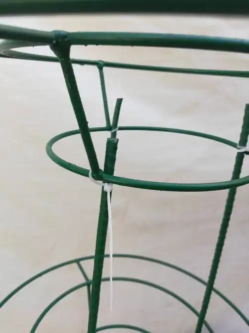 新款蟹爪兰莲花架支架支撑叶仙嫁接简约组装结实园艺多层钢筋制作