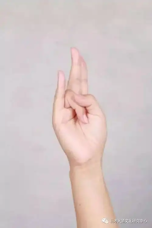 三周课程四个词005|一个神奇的多功能补充阳气的手印