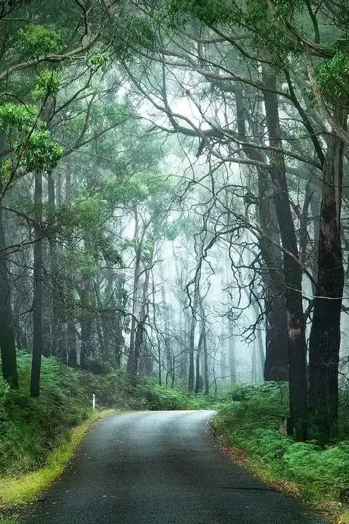 小提琴《天边》绝美人间仙境,忍不住发给你看看!