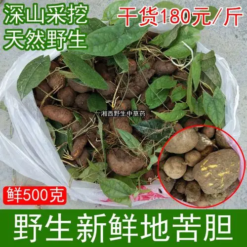 共1071 件九龙子相关商品