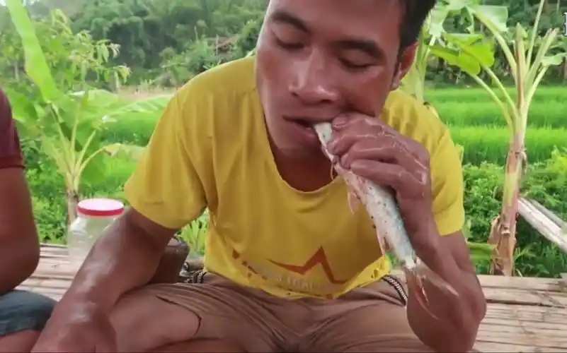 越南人生吃活鱼~硬核的吃鱼方法_哔哩哔哩_bilibili