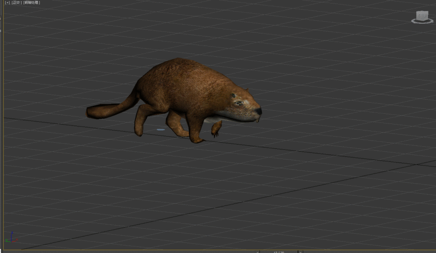 写实水獭一头,贴图1024,内含三十二个动作,喜欢的拿走