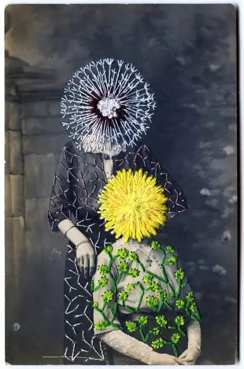 纤维艺术家hancao将鲜花与风景缝在黑白图像上让旧照片焕发生机