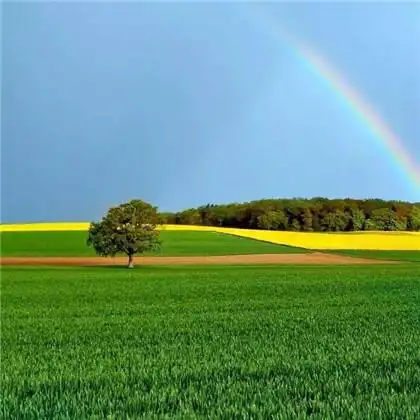 2020带来好运的微信头像风景