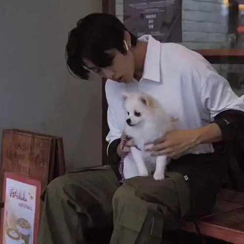 记录一下喜欢用过的头像基本都是抱着的狗狗和猫猫