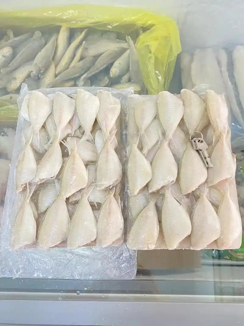 玻璃鱼.冷冻海鲜——玻璃鱼,品质看得见.昆明官渡区及周边送 - 抖音