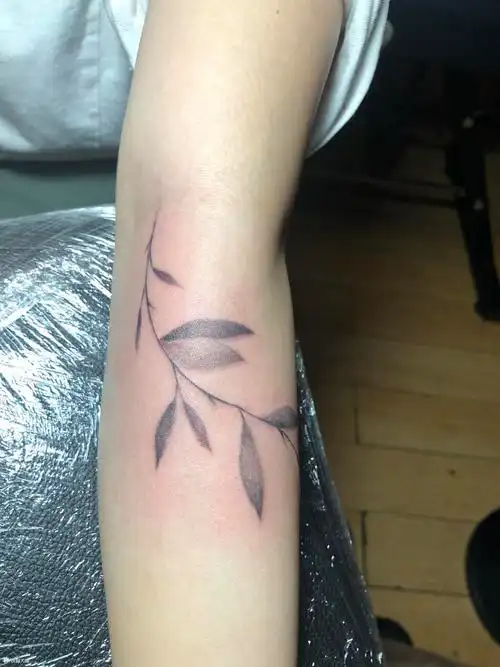 细柳_纹身图案手稿图片_大军哥哥的纹身作品集