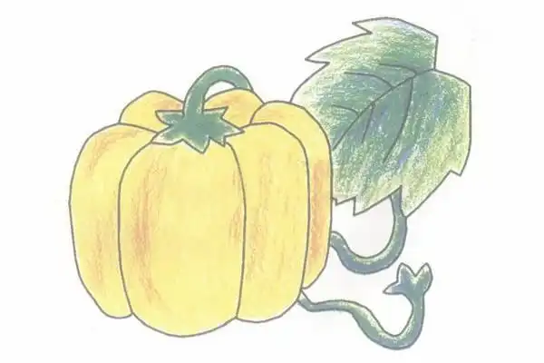 南瓜简笔画的画法步骤图教程