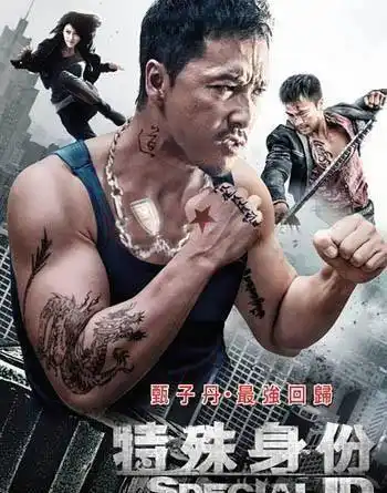 甄子丹最经典的十部电影,从肌肉猛男到一代宗师的蜕变,部部经典_动作