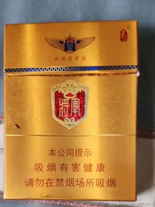 泰山将军中支一六尽早版