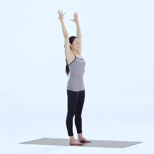 站立山式伸展练习