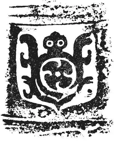 中山国的动物世界——蛙