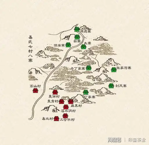 易武古树茶特征:易武茶山所产的茶叶属大叶种茶,外形条索粗壮肥大,茶