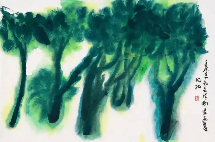 西双版纳写生之三百年铁树群