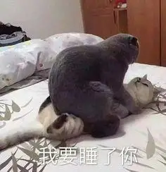 表情包-花瓣网|陪你做生活的设计师 | 可爱罗熙表情包合集