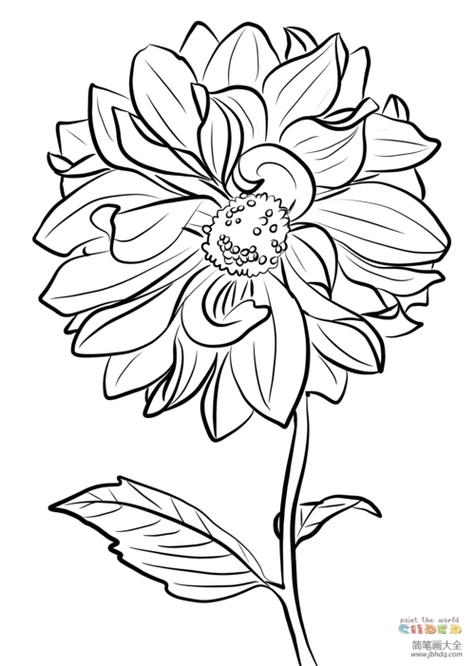 花朵简笔画简单又好看花朵简笔画简单又好看彩色盛开