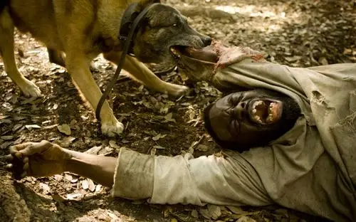 被解救的姜戈桌面壁纸第13张