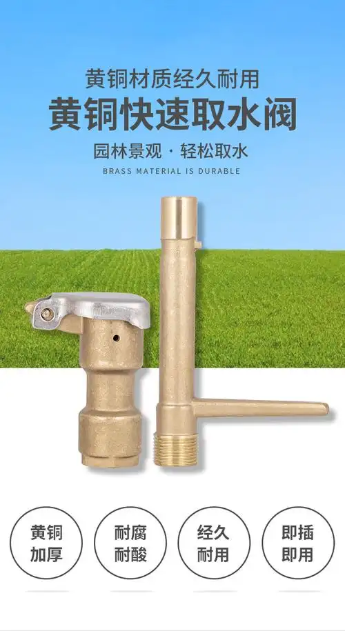 绿化取水器6分dn25快速取水阀全铜取水器园林绿化黄铜草坪1寸取水口铜