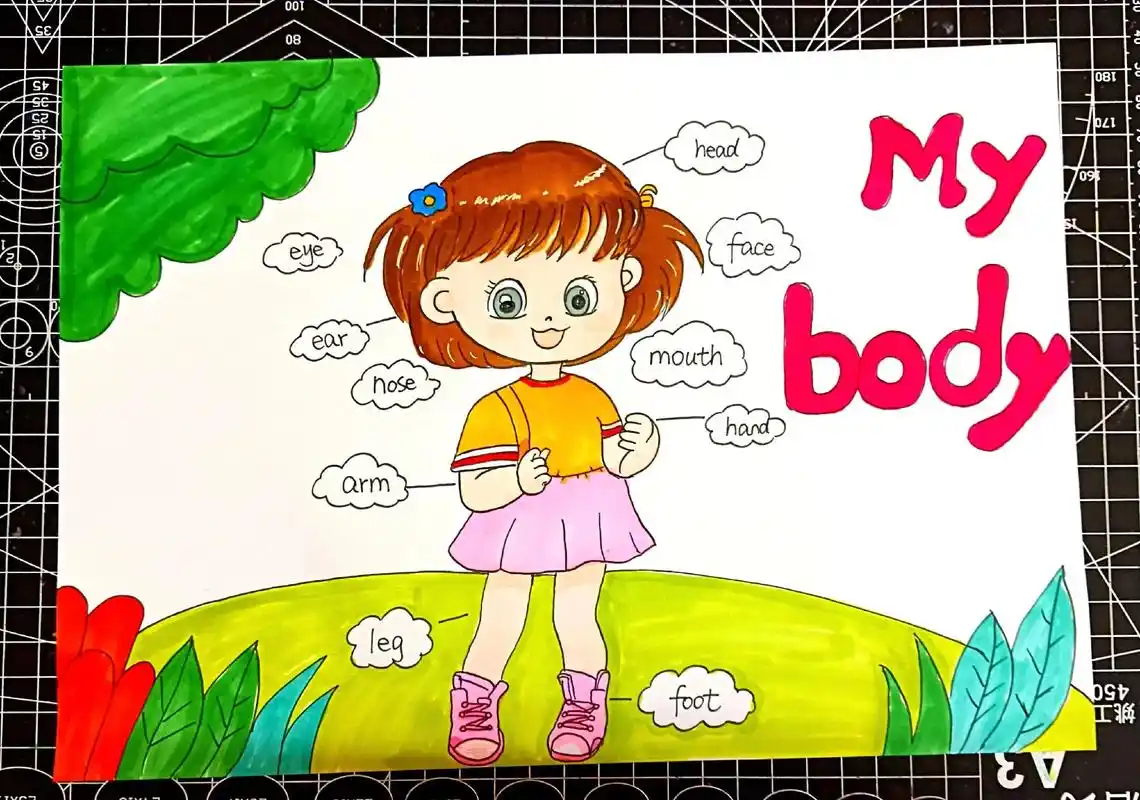 身体部位英语思维导图.#创作灵感 身体部位英语 英语思维导图 - 抖音