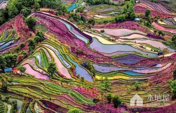 云南元阳梯田最佳旅游季节