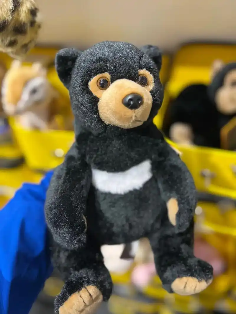 小黑熊太可爱了.#国家地理摄影展 #国家地理 - 抖音