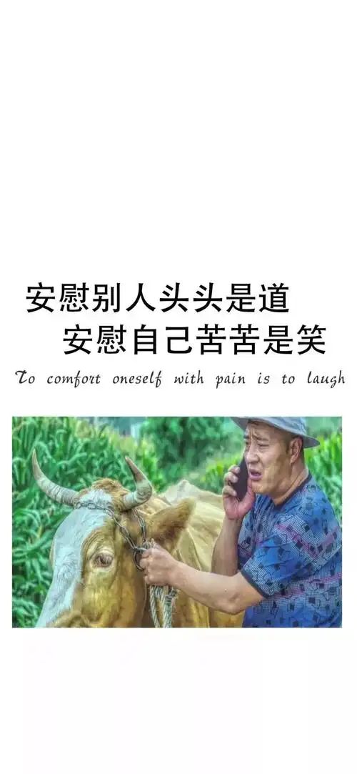 安慰别人头头是道安慰自己苦苦是笑手机壁纸