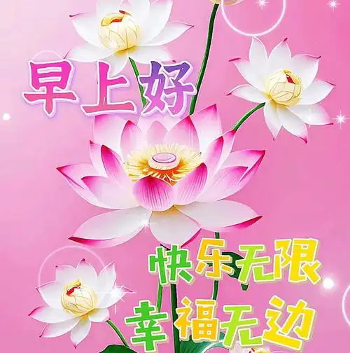 早上好表情包大全,真诚祝你开心快乐!早安顺心!