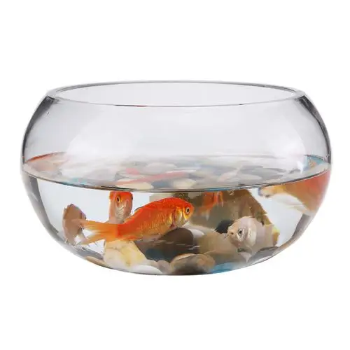 圆形玻璃鱼缸透明椭圆形球形乌龟家用桌面圆缸鱼缸