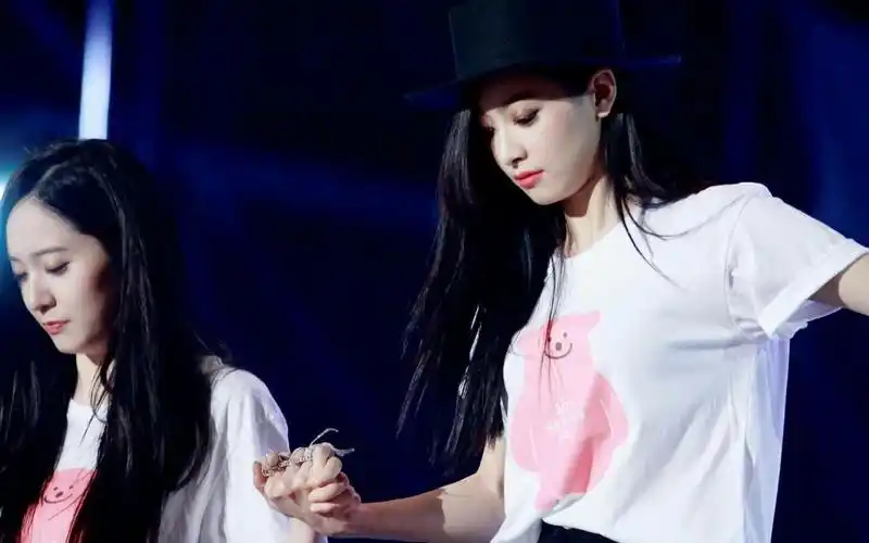 越南豹做的晶茜mv:i dont wanna live forever - krytoria version.