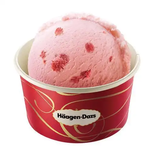 哈根达斯冰激凌 冰淇淋批发 冰激凌球