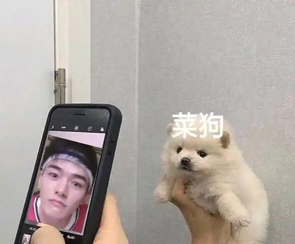 人菜瘾还大类游戏合集