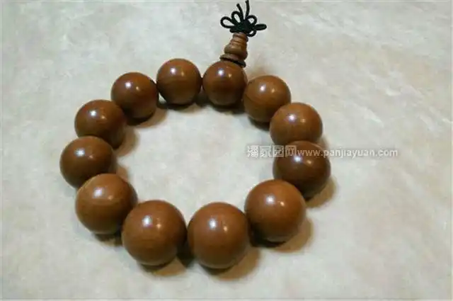 杵榆学名坚桦,地方土名叫"红娘子",自明代有"南紫檀,北杵榆"之美誉,与