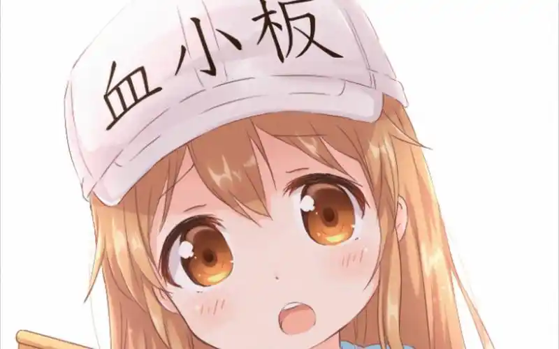 《工作细胞》血小板壁纸分享-第二期